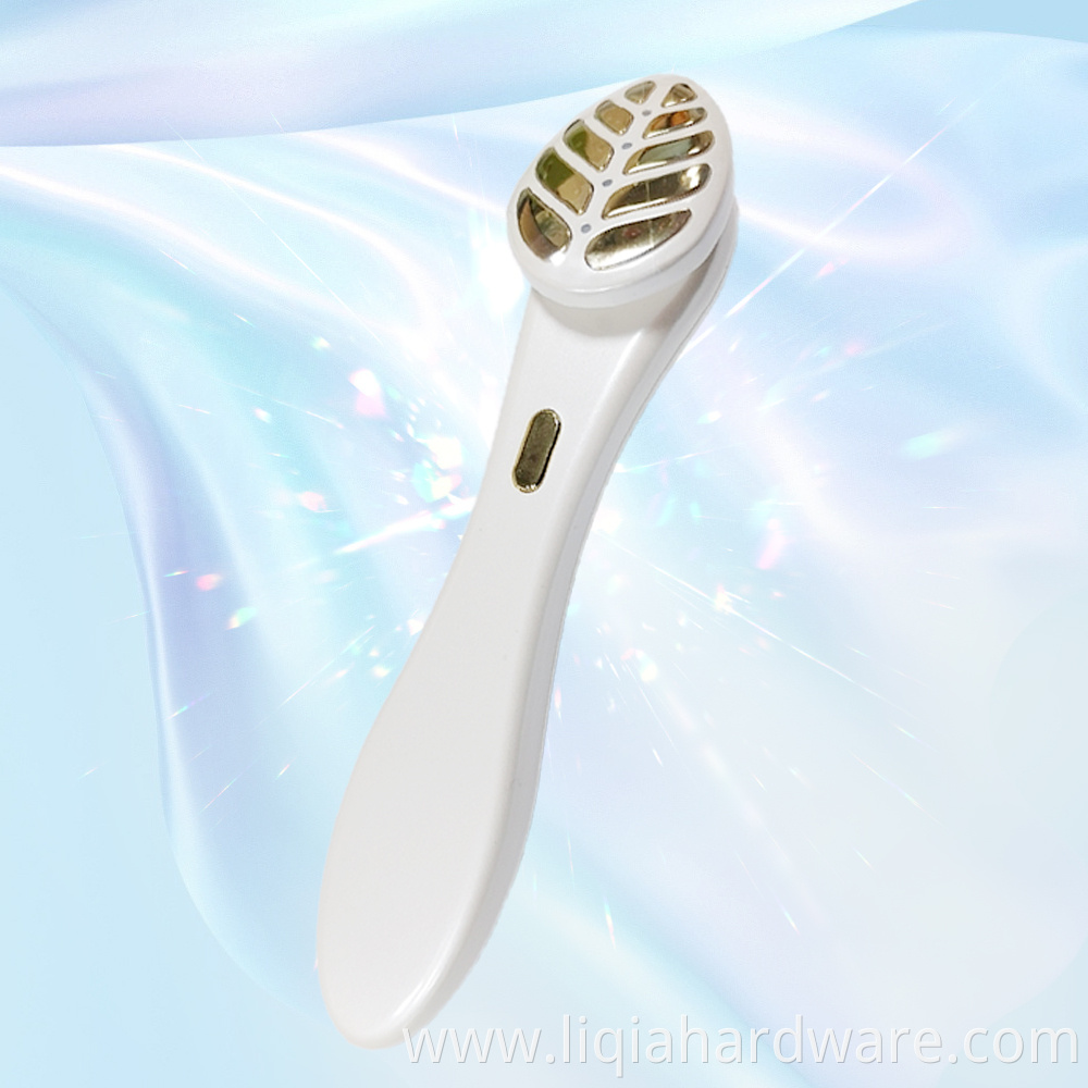 Adjustable Temperature Beauty Instrument